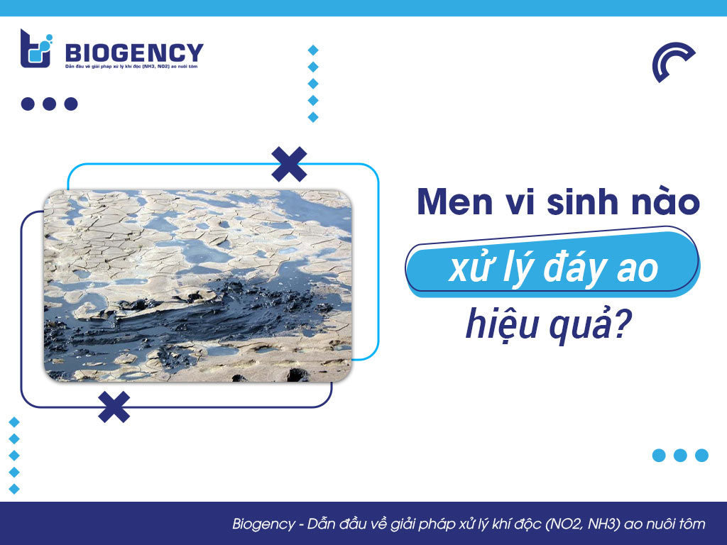 Men vi sinh xử lý đáy ao nào hiệu quả?