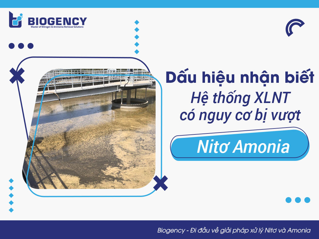 Dấu hiệu nhận biết Hệ thống xử lý nước thải có nguy cơ bị vượt Nitơ Amonia