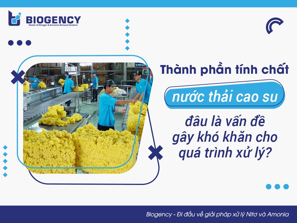 Thành phần tính chất nước thải cao su, đâu là vấn đề gây khó khăn cho quá trình xử lý?