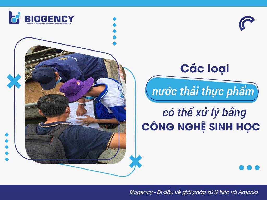 Các loại nước thải thực phẩm có thể xử lý bằng công nghệ sinh học 