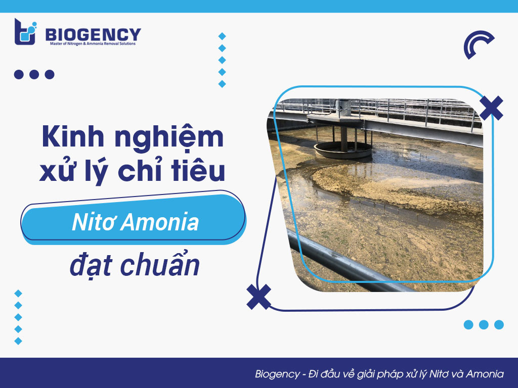 Kinh nghiệm xử lý chỉ tiêu Nitơ Amonia đạt chuẩn