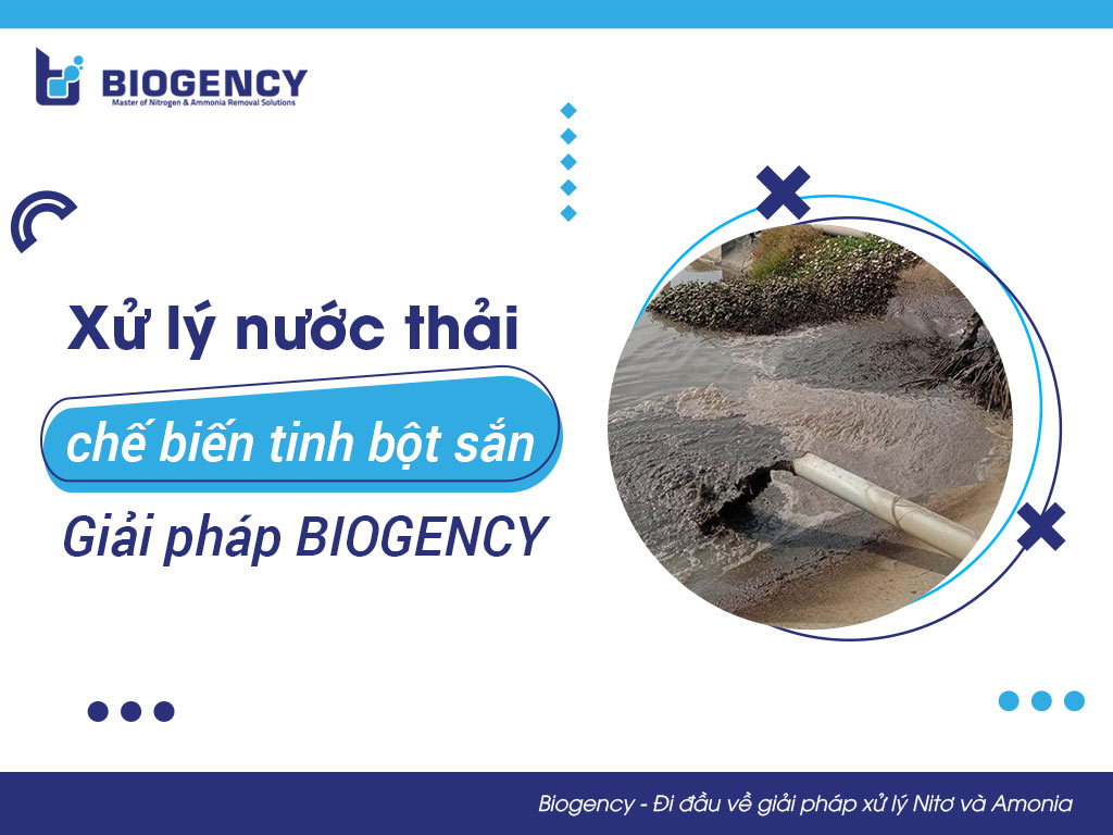 Xử lý nước thải chế biến tinh bột sắn – Giải pháp BIOGENCY