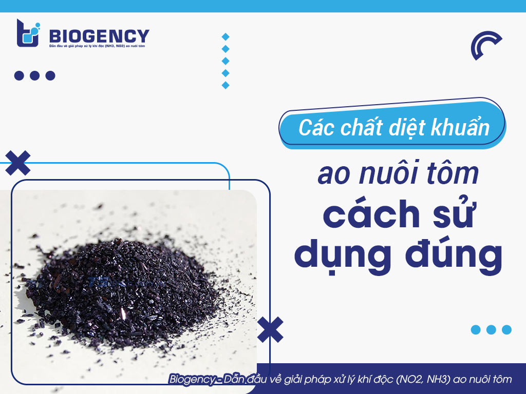 Các chất diệt khuẩn ao nuôi tôm và cách sử dụng đúng
