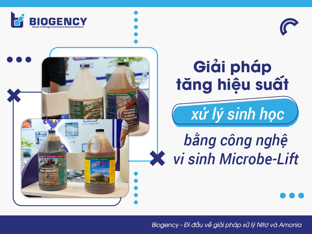 Giải pháp tăng hiệu suất xử lý sinh học bằng công nghệ vi sinh Microbe-Lift