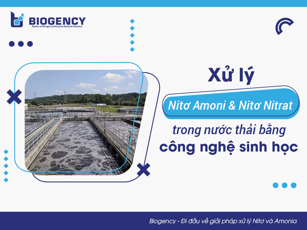 Xử lý Nitơ Amoni và Nitơ Nitrat trong nước thải bằng công nghệ sinh học