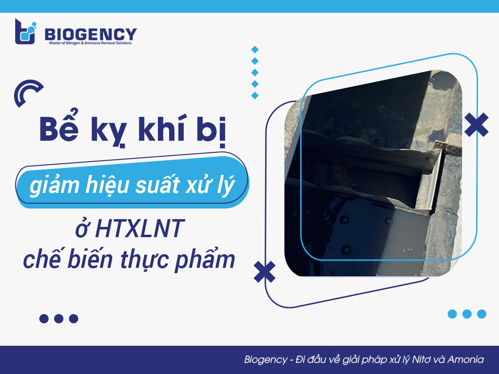 Khắc phục tình trạng bể kỵ khí bị giảm hiệu suất xử lý ở HTXLNT chế biến thực phẩm