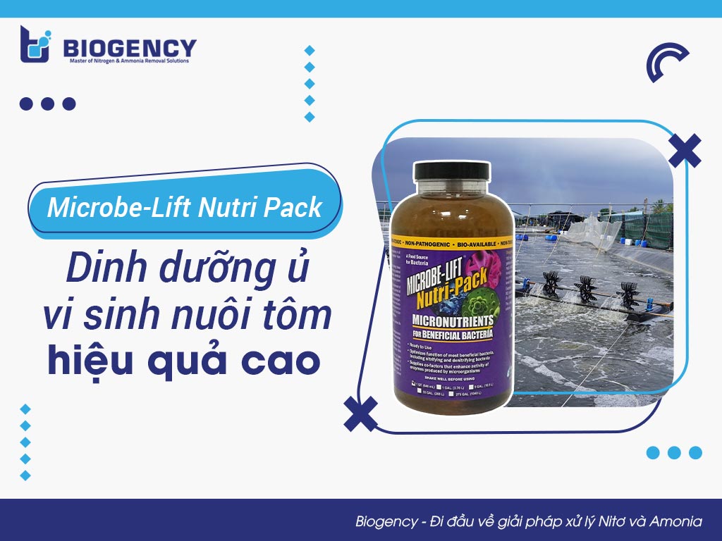 Microbe-Lift Nutri Pack: Dinh dưỡng ủ vi sinh nuôi tôm hiệu quả cao
