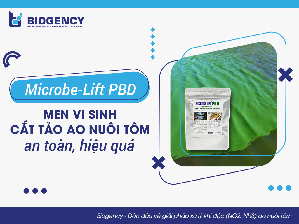 Microbe-Lift PBD: Men vi sinh cắt tảo ao nuôi tôm an toàn, hiệu quả