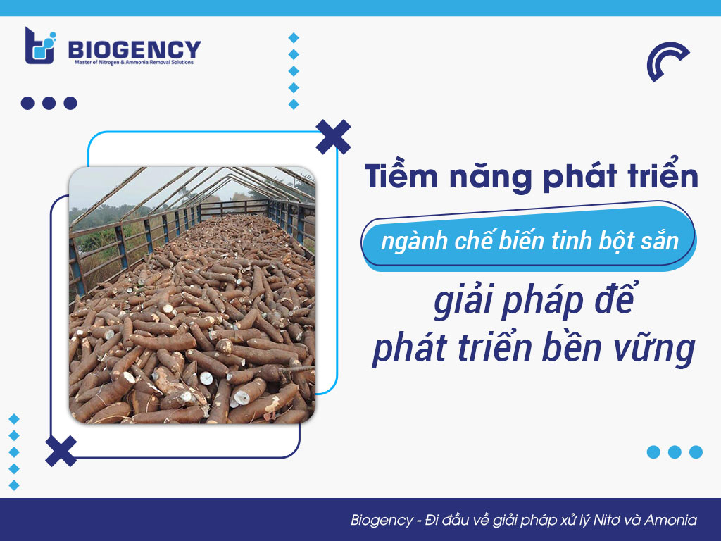 Tiềm năng phát triển của ngành chế biến tinh bột sắn và giải pháp để phát triển bền vững