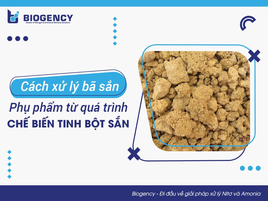 Cách xử lý bã sắn (phụ phẩm từ quá trình chế biến tinh bột sắn)