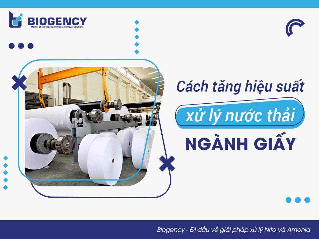 Cách tăng hiệu suất xử lý nước thải ngành giấy