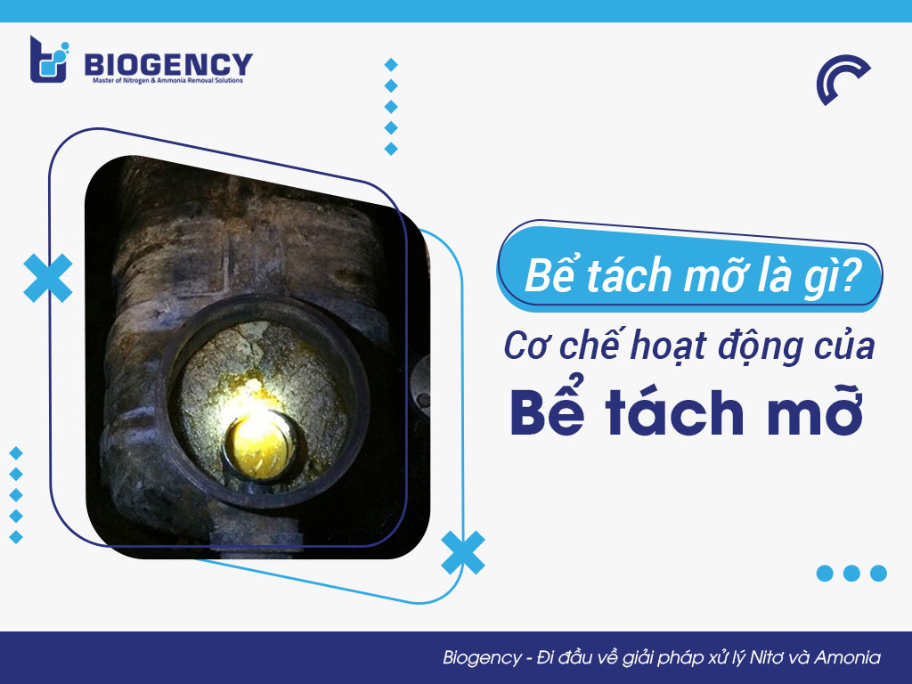 Bể tách mỡ là gì? Cơ chế hoạt động của bể tách mỡ