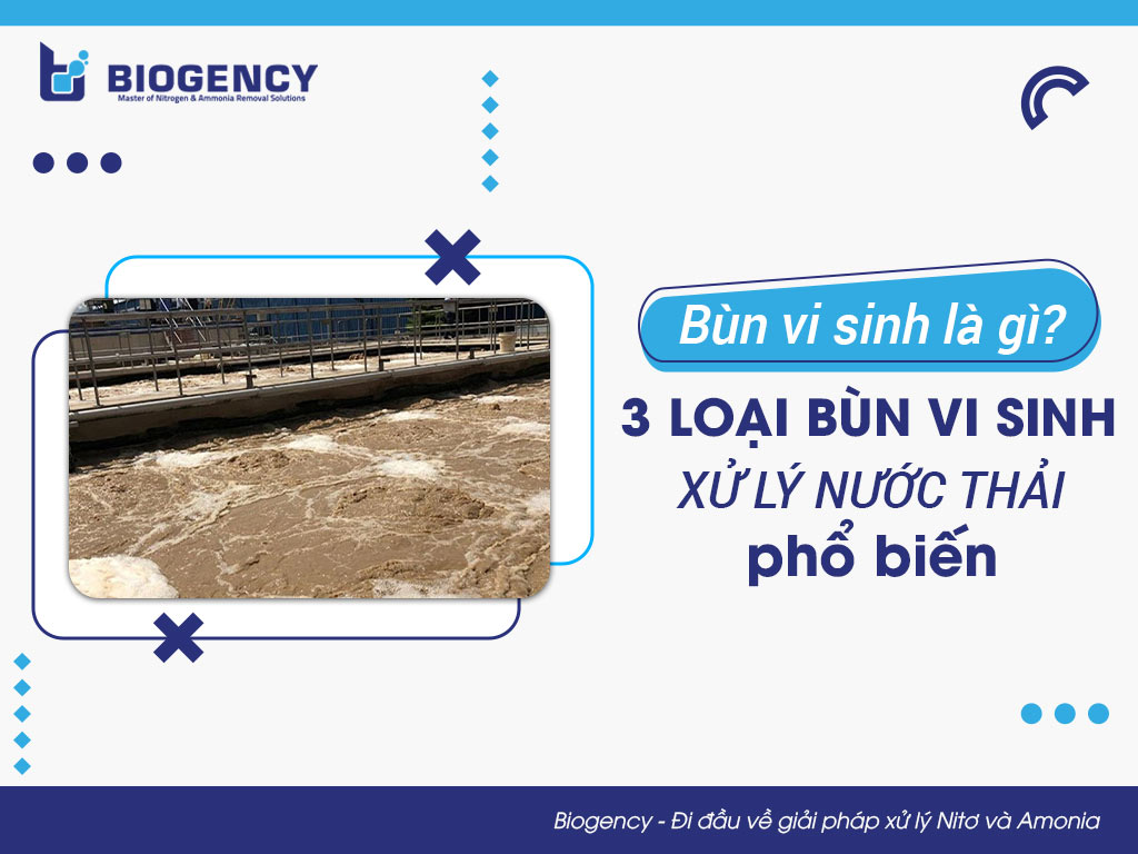 Bùn vi sinh là gì? 3 loại bùn vi sinh xử lý nước thải phổ biến