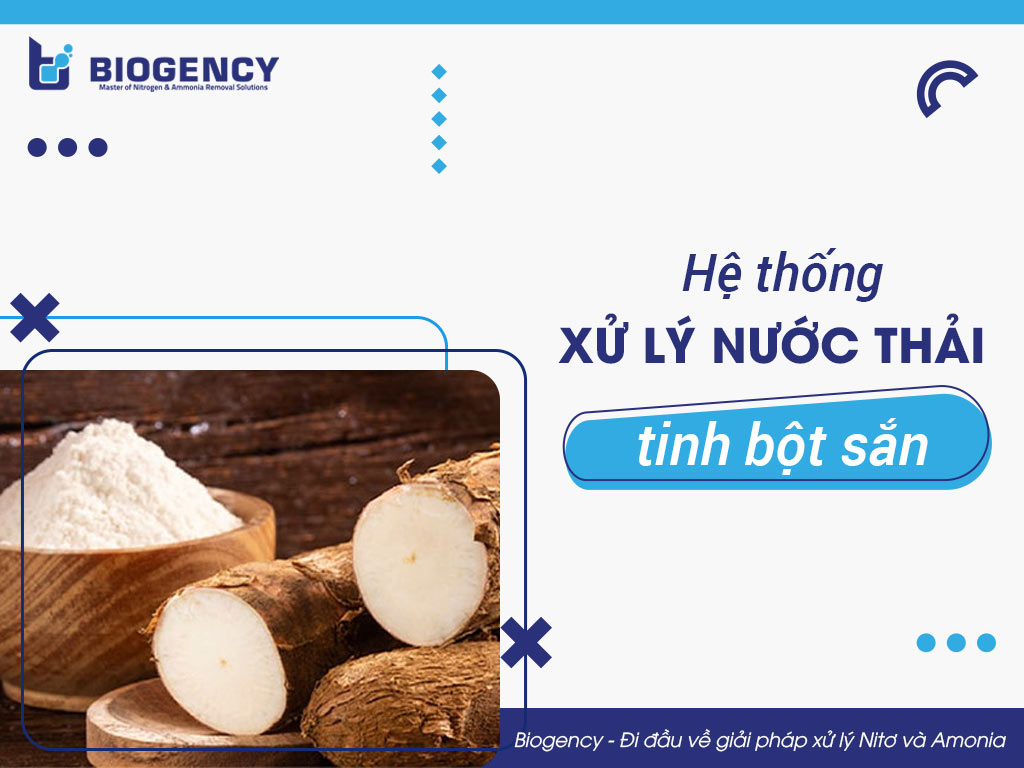 Hệ thống xử lý nước thải tinh bột sắn