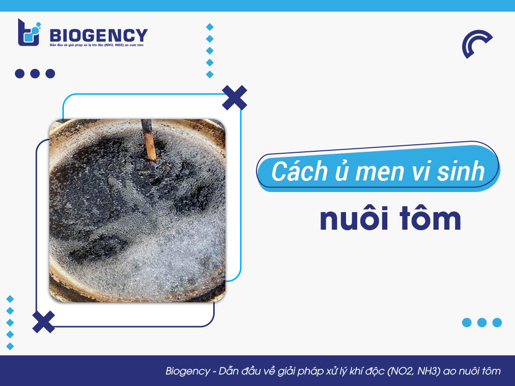 Cách ủ men vi sinh nuôi tôm
