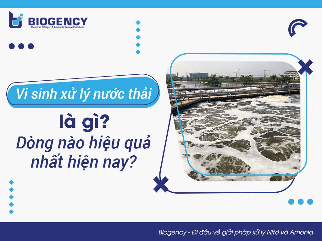 Vi sinh xử lý nước thải là gì? Dòng nào hiệu quả nhất hiện nay?