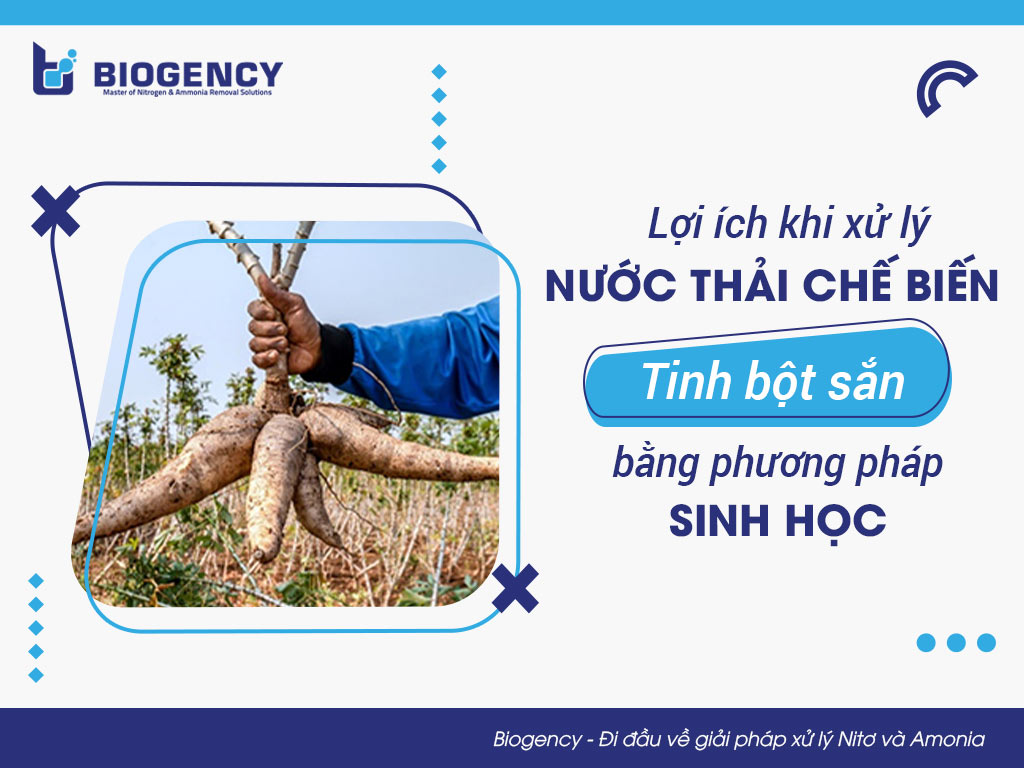 Lợi ích khi xử lý nước thải chế biến tinh bột sắn bằng phương pháp sinh học