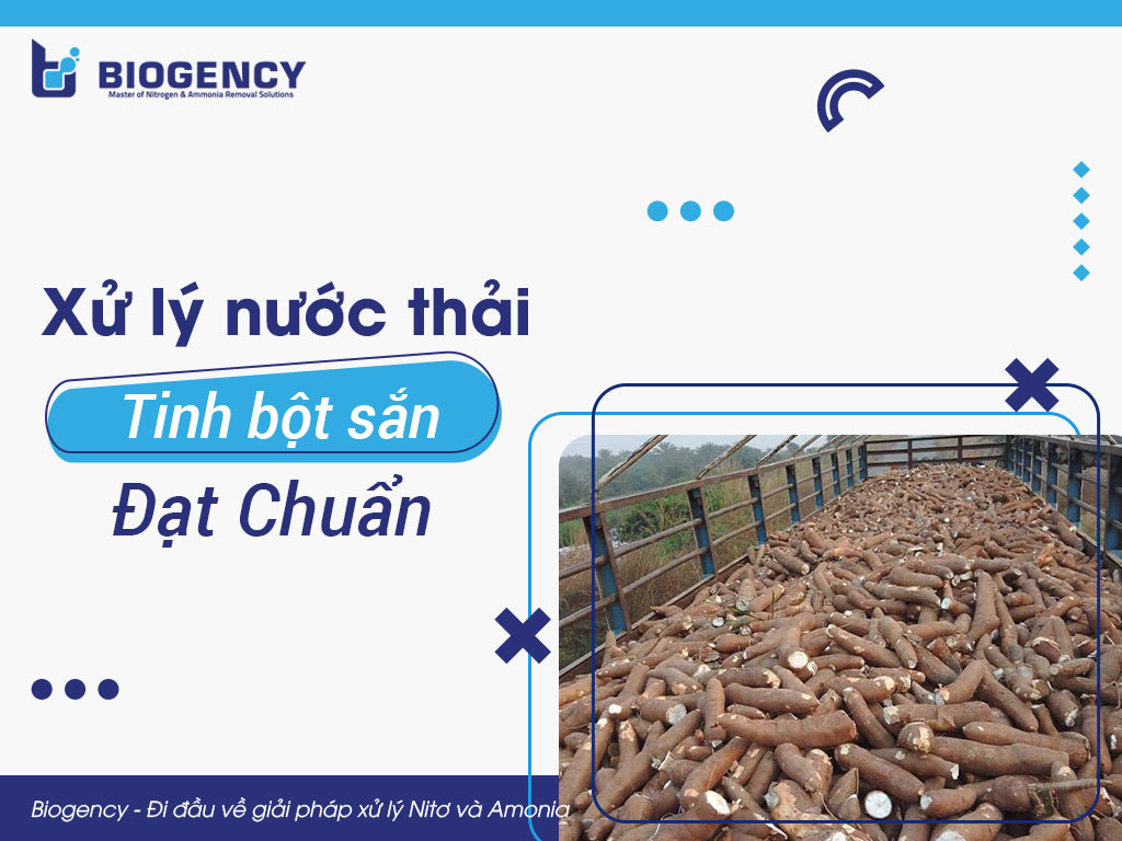 Xử lý nước thải tinh bột sắn đạt chuẩn