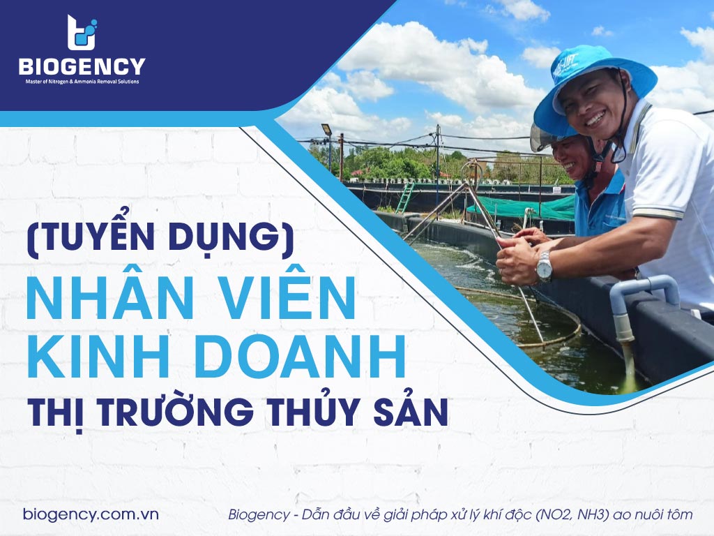 tuyen dung