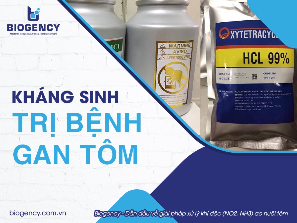 Kháng Sinh Trị Bệnh Gan: Hiệu Quả, Tác Dụng Phụ Và Lưu Ý Khi Sử Dụng