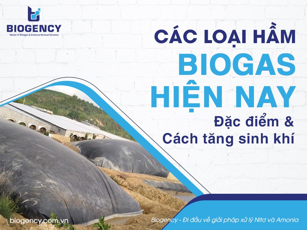 Các loại hầm Biogas hiện nay, đặc điểm và cách tăng sinh khí