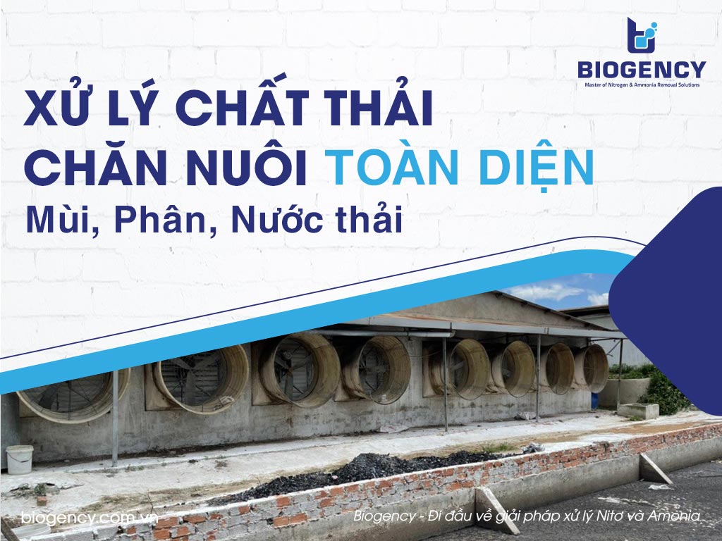 Xử lý chất thải chăn nuôi toàn diện: Mùi, Phân, Nước thải