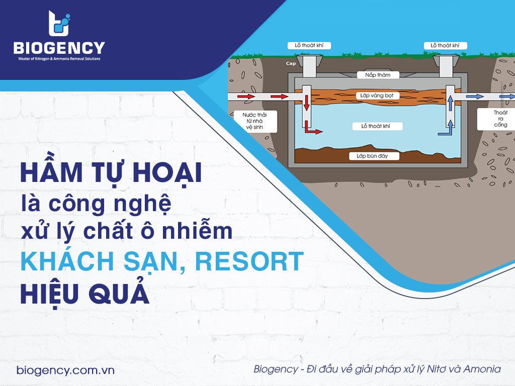 Xử lý hầm tự hoại khách sạn, resort khu du lịch