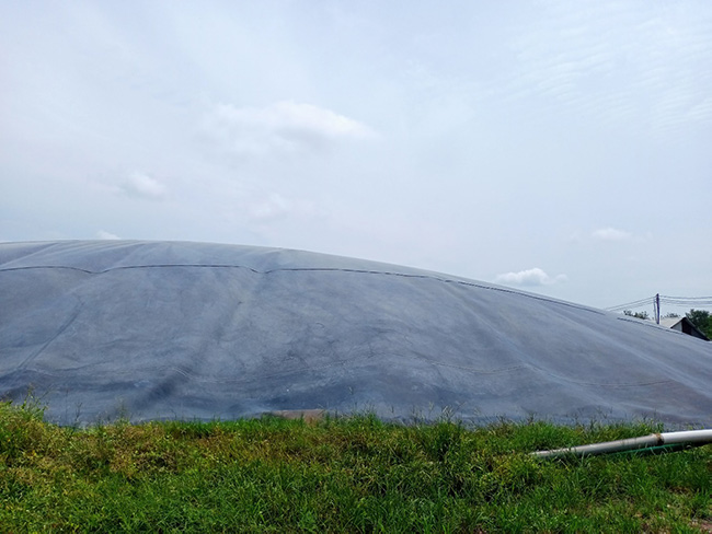 [Dự án] Xử lý nước thải sản xuất tinh bột sắn sử dụng hầm Biogas (2000 m3/ngày) 