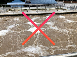 [BIOGENCY] Giải pháp: Xử lý nước thải cao su