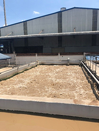 [BIOGENCY] Giải pháp: Xử lý nước thải cao su