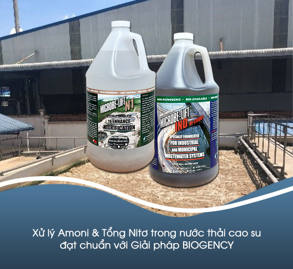 [BIOGENCY] Giải pháp: Xử lý nước thải cao su