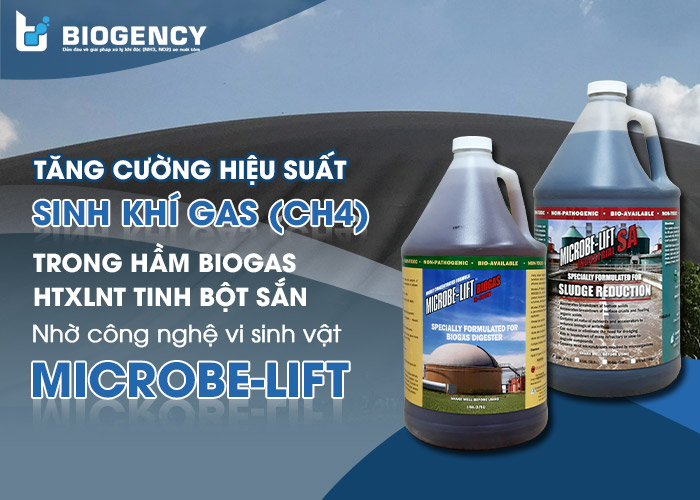 [BIOGENCY] Giải pháp: Tăng cường hiệu suất sinh khí gas (CH4) trong hầm Biogas HTXLNT tinh bột sắn