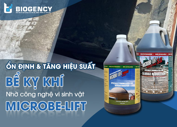 [BIOGENCY] Giải pháp: Tăng hiệu suất bể kỵ khí hệ thống xử lý nước thải chế biến thực phẩm