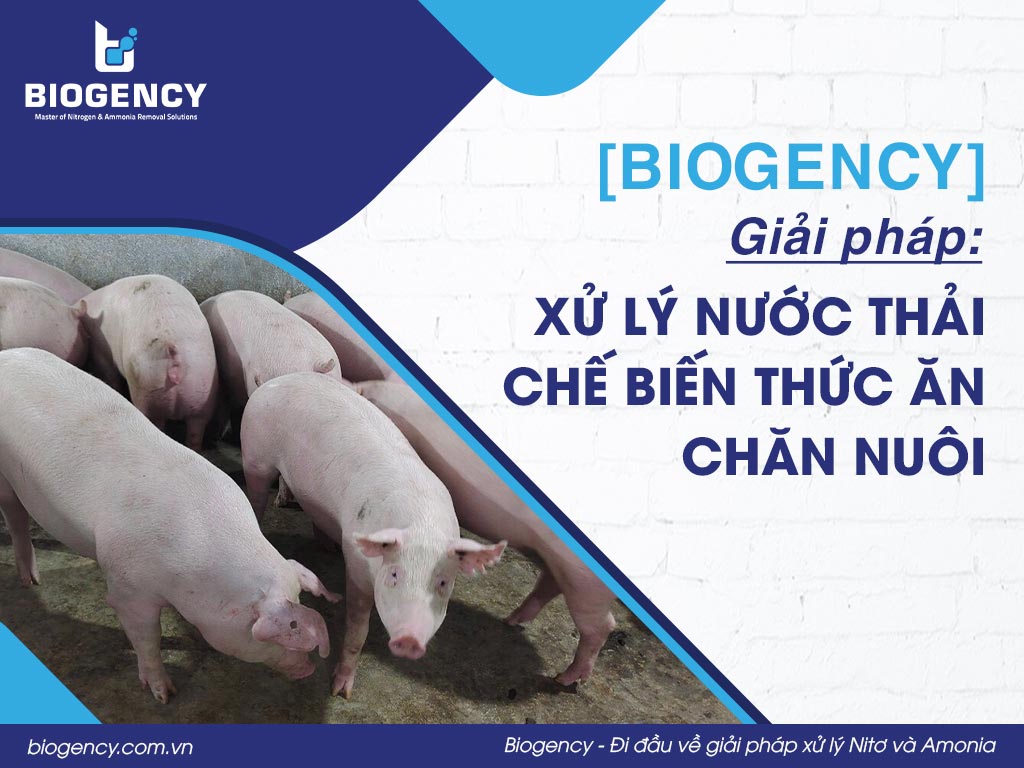 [BIOGENCY] Giải pháp: Xử lý nước thải chế biến thức ăn chăn nuôi