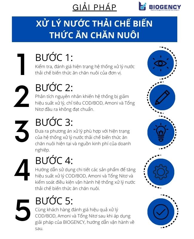 [BIOGENCY] Giải pháp: Xử lý nước thải chế biến thức ăn chăn nuôi