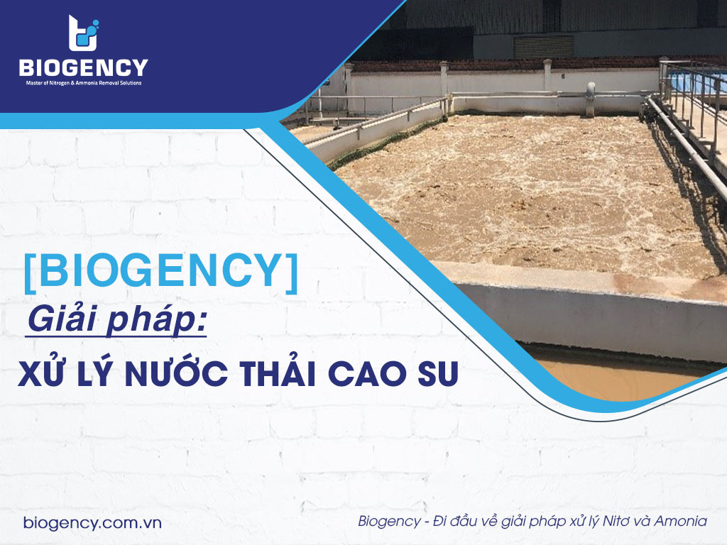 [BIOGENCY] Giải pháp: Xử lý nước thải cao su