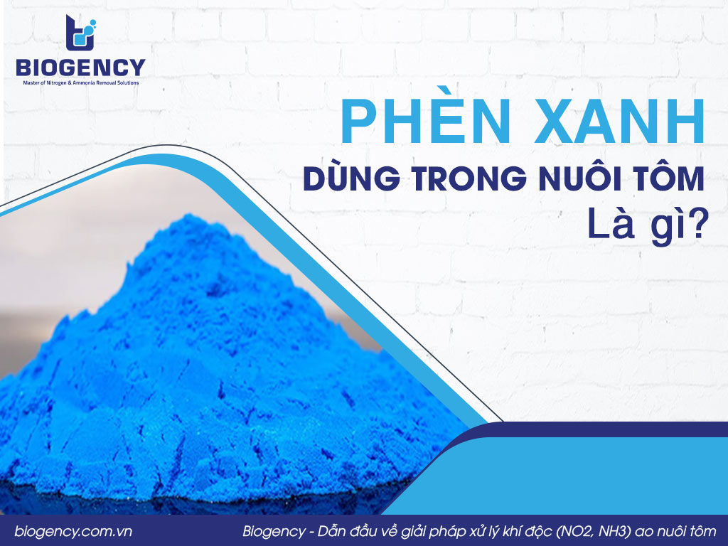 Phèn xanh dùng trong nuôi tôm là gì?