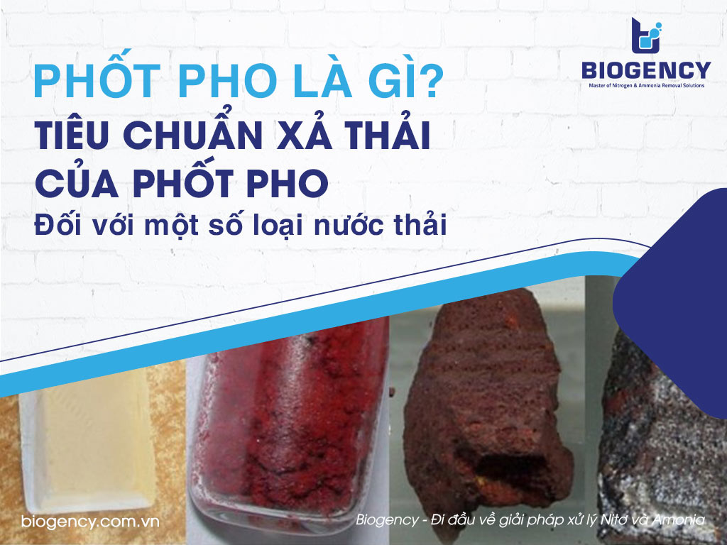 Phốt pho là gì? Tiêu chuẩn xả thải của phốt pho đối với một số loại nước thải