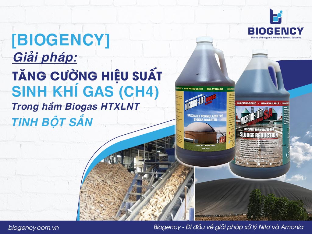 [BIOGENCY] Giải pháp: Tăng cường hiệu suất sinh khí gas (CH4) trong hầm Biogas HTXLNT tinh bột sắn