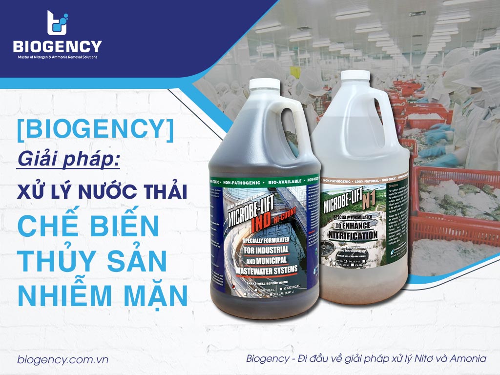 [BIOGENCY] Giải pháp: Tăng cường hiệu suất sinh khí gas (CH4) trong hầm Biogas HTXLNT tinh bột sắn