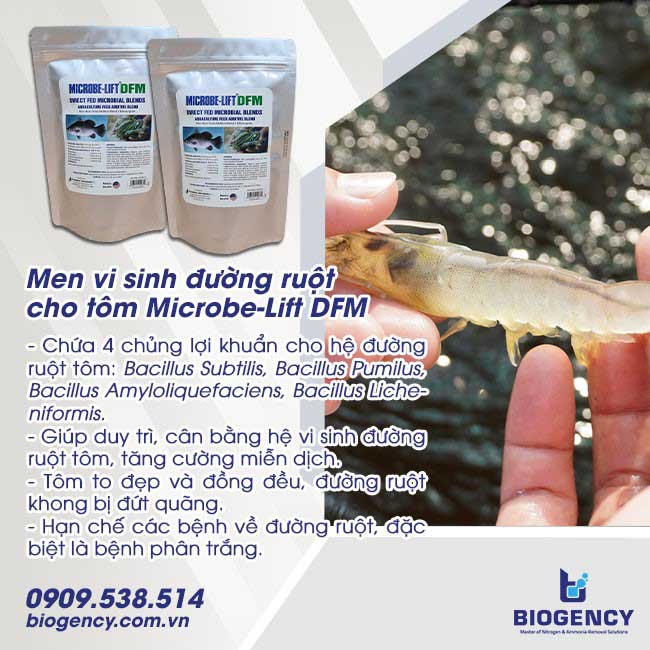 Các loại thuốc trị tôm đỏ thân Các loại thuốc trị tôm đỏ thân