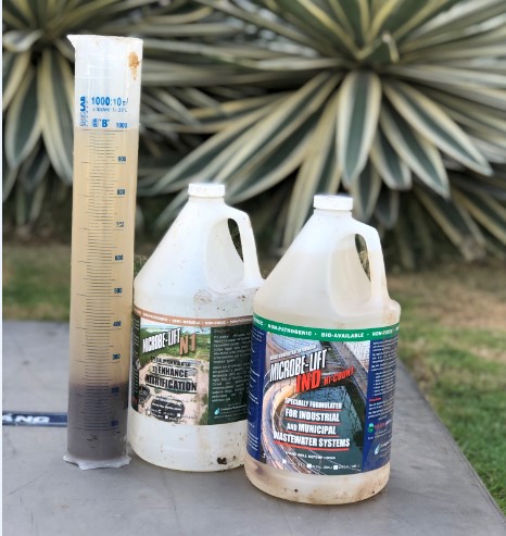 Xử lý chất thải khi chăn nuôi heo quy mô lớn