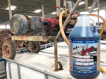 Xử lý chất thải khi chăn nuôi heo quy mô lớn