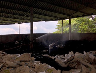 Xử lý chất thải khi chăn nuôi heo quy mô lớn