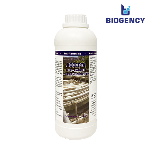 Xử lý chất thải khi chăn nuôi heo quy mô lớn