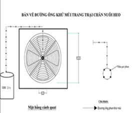 Xử lý chất thải khi chăn nuôi heo quy mô lớn