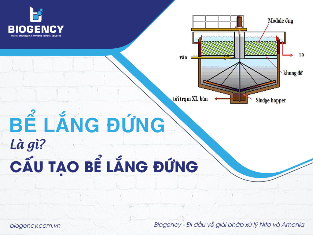 Bể lắng đứng là gì? Cấu tạo bể lắng đứng