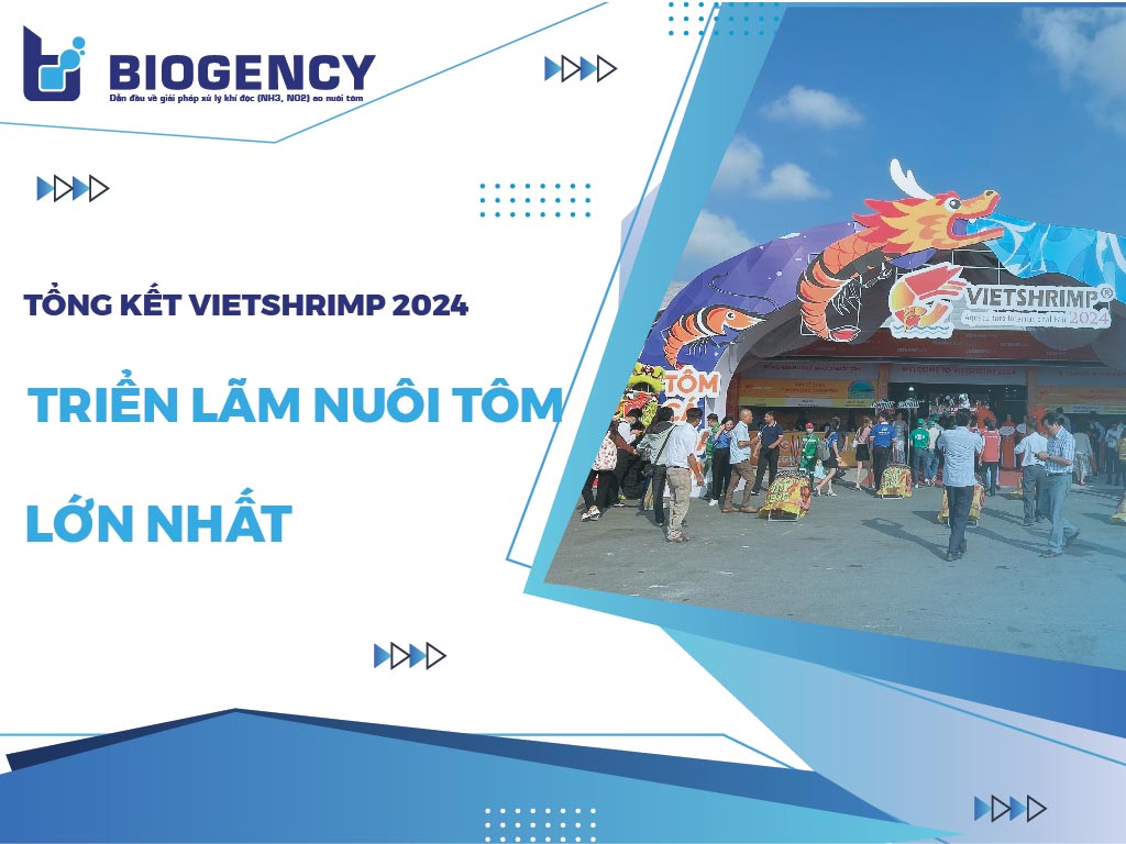 Tổng kết VietShrimp 2024 - Triển lãm nuôi tôm lớn nhất