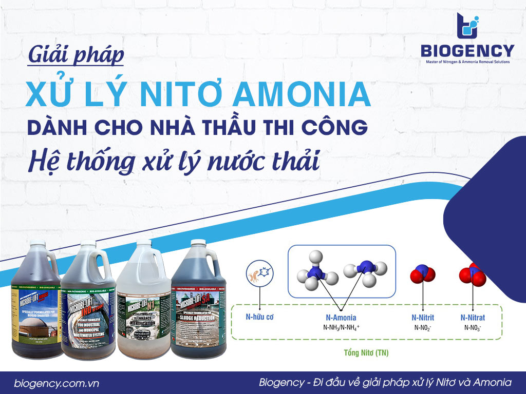 Giải pháp xử lý Nitơ Amonia dành cho nhà thầu thi công hệ thống xử lý nước thải