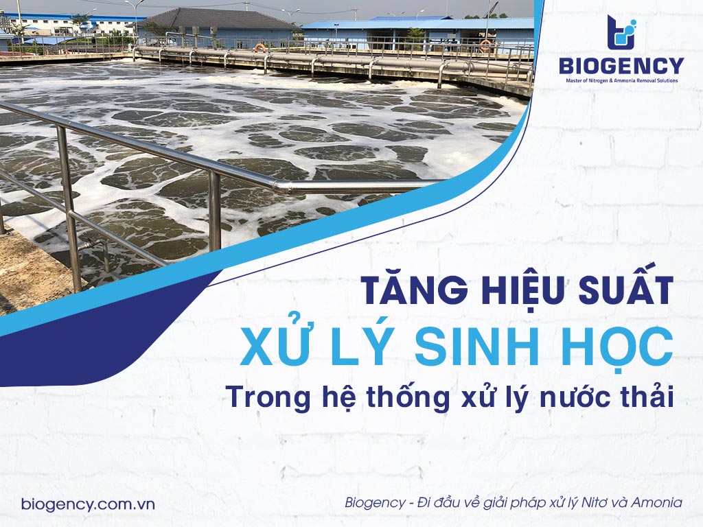 Tăng hiệu suất xử lý sinh học trong hệ thống xử lý nước thải